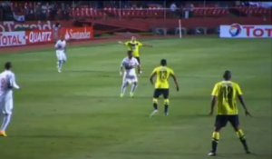 Sudamericana - Top 5 buts 2013