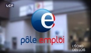 L’Écho des Lois : Pôle Emploi : quel travail !