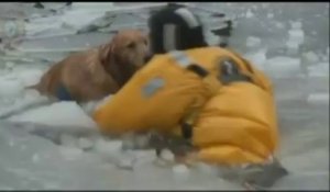 Deux pompiers se jettent dans l'eau glacée pour sauver un chien