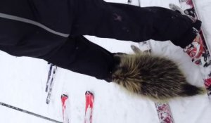 Un Porc-épic attaque un skieur! Epique!