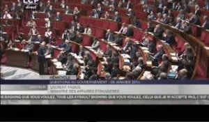 Assemblée nationale - réponse de Laurent Fabius à propos de la Centrafrique (08/01/2014)