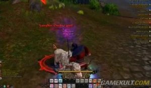 Warhammer Online :  Age of Reckoning - Sur la route de l'XP, MacFly