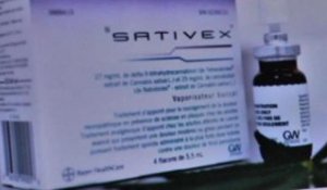 Sativex, médicament dérivé du cannabis autorisé en France