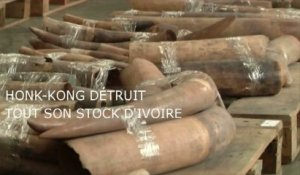 Hong Kong va brûler son stock d'ivoire