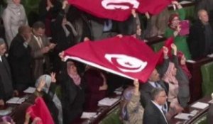 Tunisie: une nouvelle constitution et un nouveau gouvernement pour le pays - 27/01