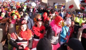 Bray-Dunes : des centaines de carnavaleux ont participé à la bande
