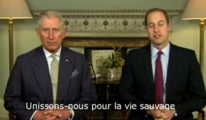 Le prince Charles et son fils William au secours des éléphants