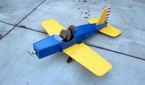 Un écureuil vole un avion RC