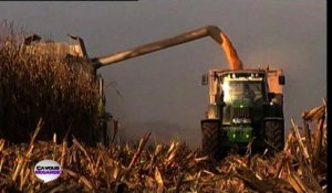 OGM : la proposition de loi visant à les interdire débattue en Commission