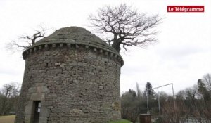 Bégard (22). L'arbre du colombier vise un podium européen