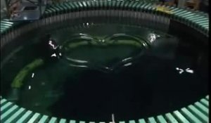 Dessins sur l'eau d'une piscine