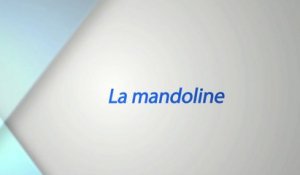 La mandoline - Tapie se met à table avec Jean-Claude Gaudin