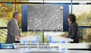 Paludisme chronique: Réveiller le parasite dormant pour mieux le tuer, dans Votre santé m'intéresse - 15/03