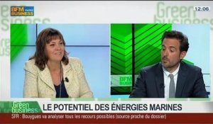 Le potentiel des énergies marines: Arnaud Gossement, François Piquet et Alexis Jourdain, dans Green Business – 06/04 1/4