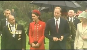 Le prince George en Nouvelle-Zélande pour son premier voyage officiel