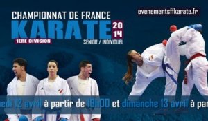 [Live] Championnat de France Combat 2014