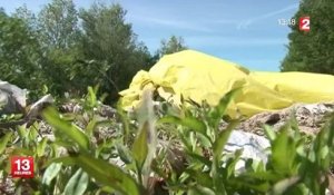Une réserve naturelle de Camargue menacée par des déchets plastiques