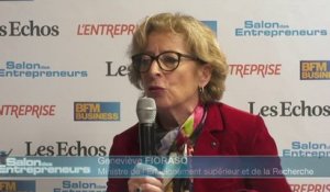 Salon des entrepreneurs 2014 - Geneviève Fioraso