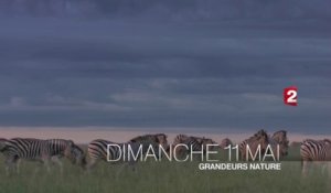 France 2 / Teaser Grandeurs Nature "Drôles de zèbres"