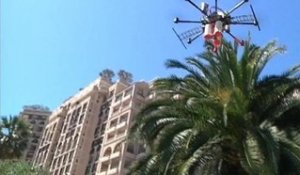 Des drones pour sauver les palmiers du Sud-Est - 28/04