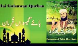 Muhammad Amir Sher Qadri - Hai Gaisuwan Qurban - Official Video