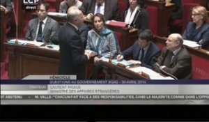 Centrafrique : Laurent Fabius répond à une question à l'Assemblée nationale (30/04/2014)