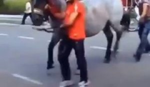 Voilà pourquoi il ne faut jamais passer derrière un cheval !