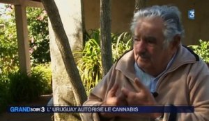 L'Uruguay autorise le cannabis