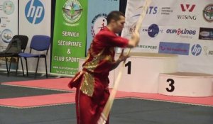 Pierre Rouvière - Qiangshu Senior optionnel - Championnat d'Europe Wushu 2014
