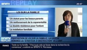 BFMTV Replay: Proposition de loi sur la famille: La stratégie d'obstruction de l'UMP dénoncée par la gauche – 19/05