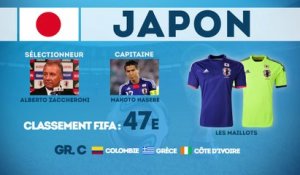 Coupe du Monde 2014 : focus sur le Japon !