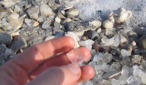 Phénomène naturel impressionnant sur la mer morte : des cubes de sel!