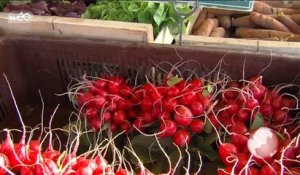 Légumes : délit de sale gueule