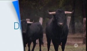 BA Signes du toro de juin 2014