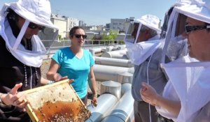 Des abeilles sur le toit de la CFDT