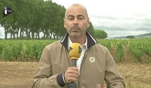 La grêle endommage les vignobles de Bourgogne