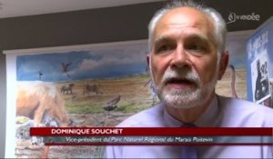Marais Poitevin : 1er été en tant que Parc naturel régional