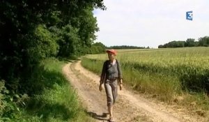La route des moulins dans l'Eure (volet 2)
