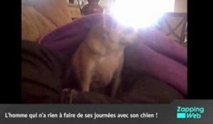 Zapping du Web : les chiens se déchaînent !