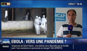 BFM Story: Ebola: vers une pandémie ? - 07/08