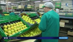 Les producteurs de pommes du Limousin s'inquiètent de l'embargo russe