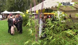 VIDEO. Fête du coing à Argy (Indre) : au bonheur des gourmands