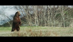 Bande-annonce : Terre des Ours - Teaser VF