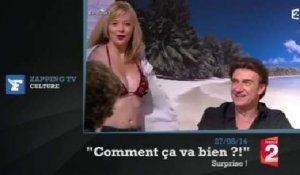 Zapping TV : sur France 2, une chroniqueuse arrache sa chemise en direct