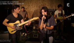 Alcaline, le Mag : Lilly Wood and The Prick et Robin Schulz, le phénomène
