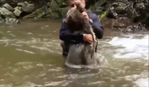 L'incroyable amitié entre un homme et un ours sauvage qui jouent tous les deux dans une rivière