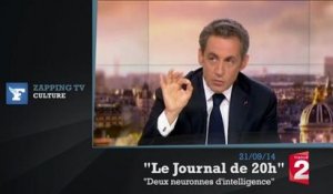 Zapping TV - Nicolas Sarkozy : " Vous me prêtez deux neurones d'intelligence ?"