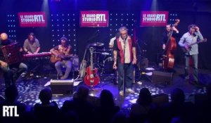 Sanseverino - Le petit bal perdu en live dans le Grand Studio RTL