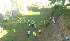 800 écoliers carcassonnais ont nettoyé ce vendredi matin la Cité, dans le cadre de l'opération "Nettoyons la Nature".