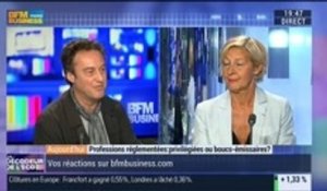 Les professions réglementées sont-elles des privilégiées ou des bouc-émissaires ?, dans les Décodeurs de l'éco - 30/09 2/4